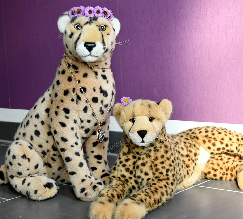 Photo by Juba Gepard on October 20, 2020.