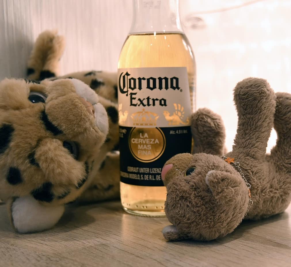 Photo by Juba Gepard on November 12, 2020.