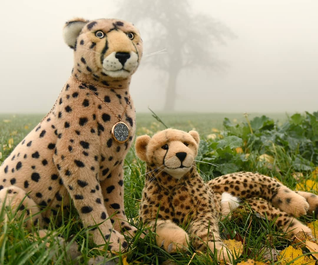 Photo by Juba Gepard on November 25, 2020.