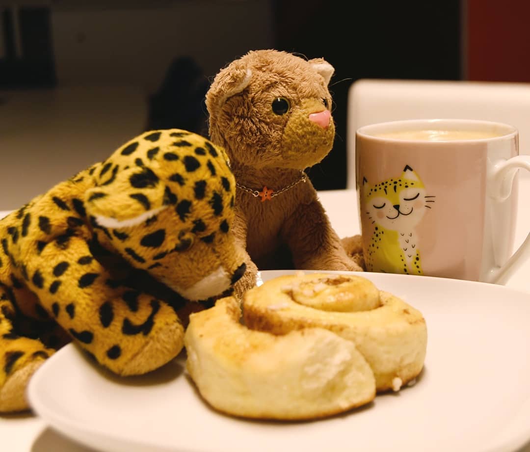 Photo shared by Juba Gepard on November 26, 2020 tagging @tiggerduck, and @kuchenfluegel.: Slide Nummer 1