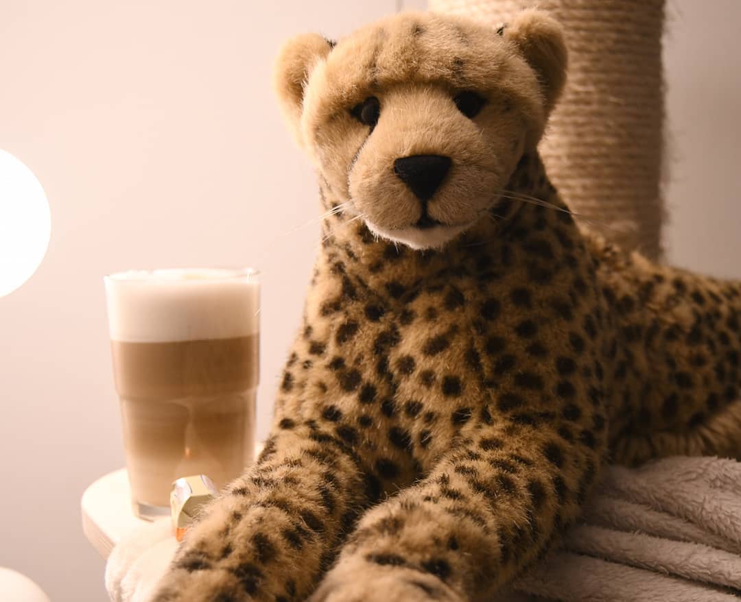 Photo by Juba Gepard on December 13, 2020.