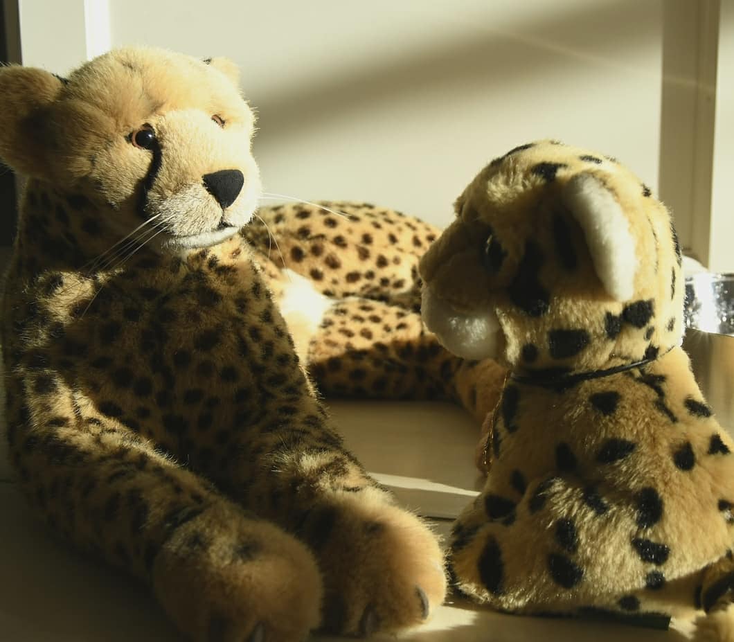 Photo by Juba Gepard on January 10, 2021.: Slide Nummer 2