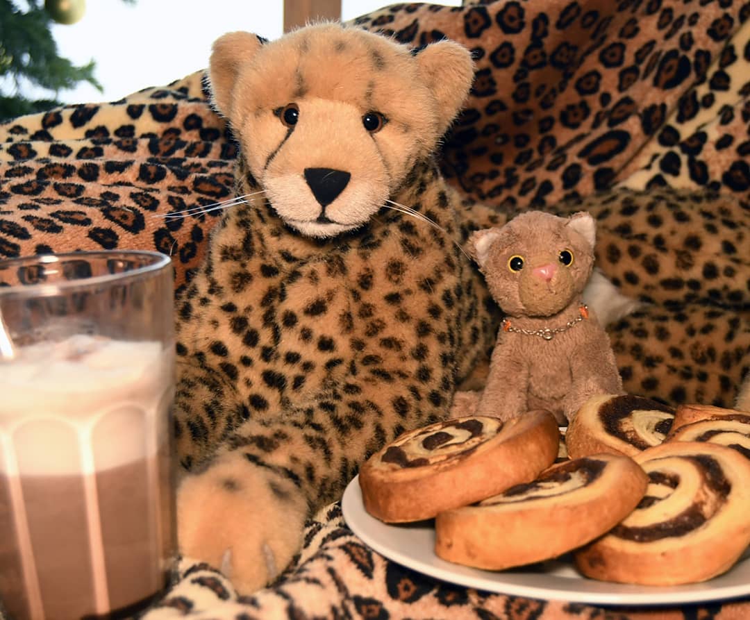 Photo by Juba Gepard on December 27, 2020.