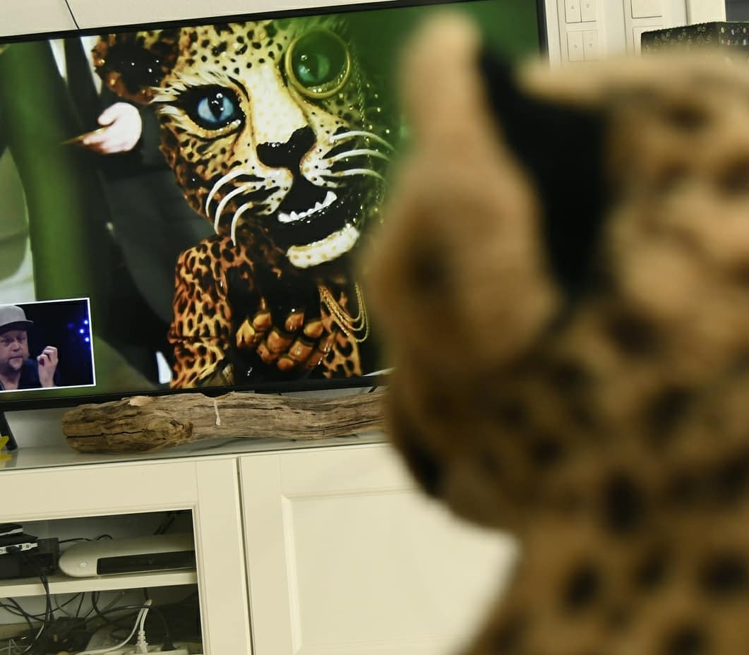 Photo by Juba Gepard on February 28, 2021.