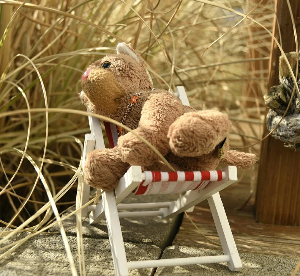 Photo by Juba Gepard on March 01, 2021.