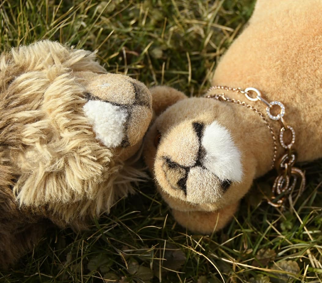 Photo by Juba Gepard on February 27, 2021.