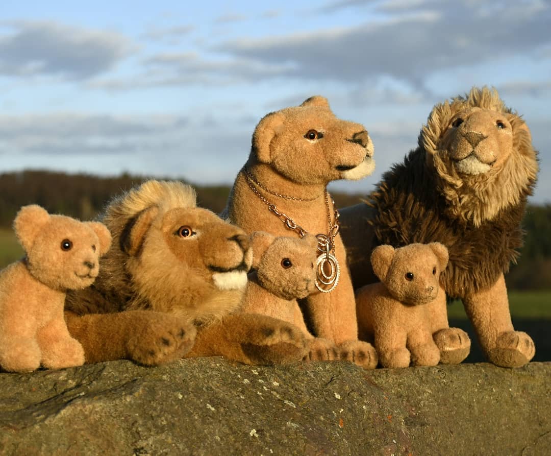 Photo shared by Juba Gepard on March 28, 2021 tagging @lioness.cheryl, @liontravelleo, @orion_olion, @elton_the_lion, @leoncino_jo, @prof_smudge, and @the.anxious.lion.