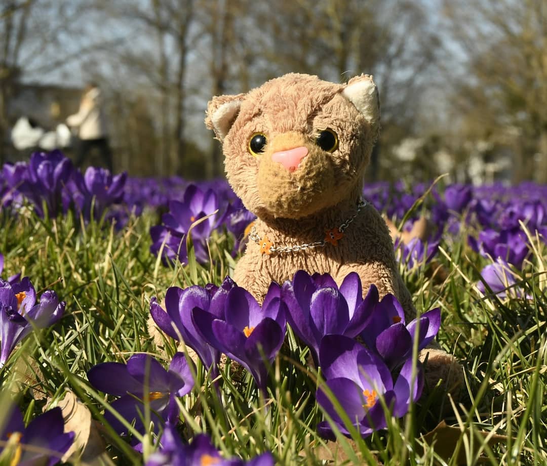 Photo by Juba Gepard on March 08, 2021.