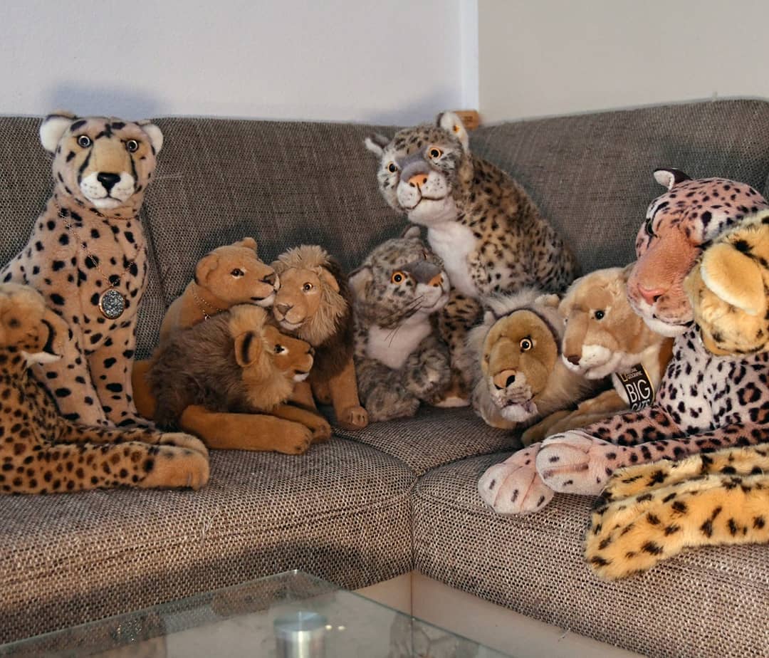 Photo by Juba Gepard on March 10, 2021.