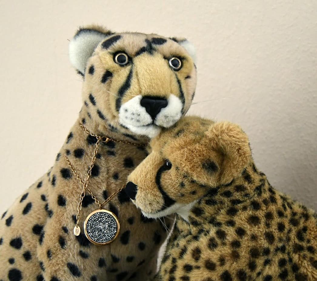 Photo by Juba Gepard on March 13, 2021.