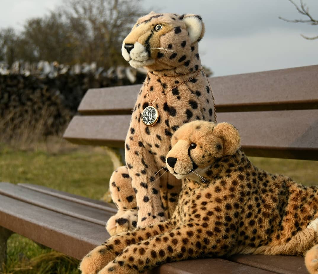 Photo by Juba Gepard on March 19, 2021.