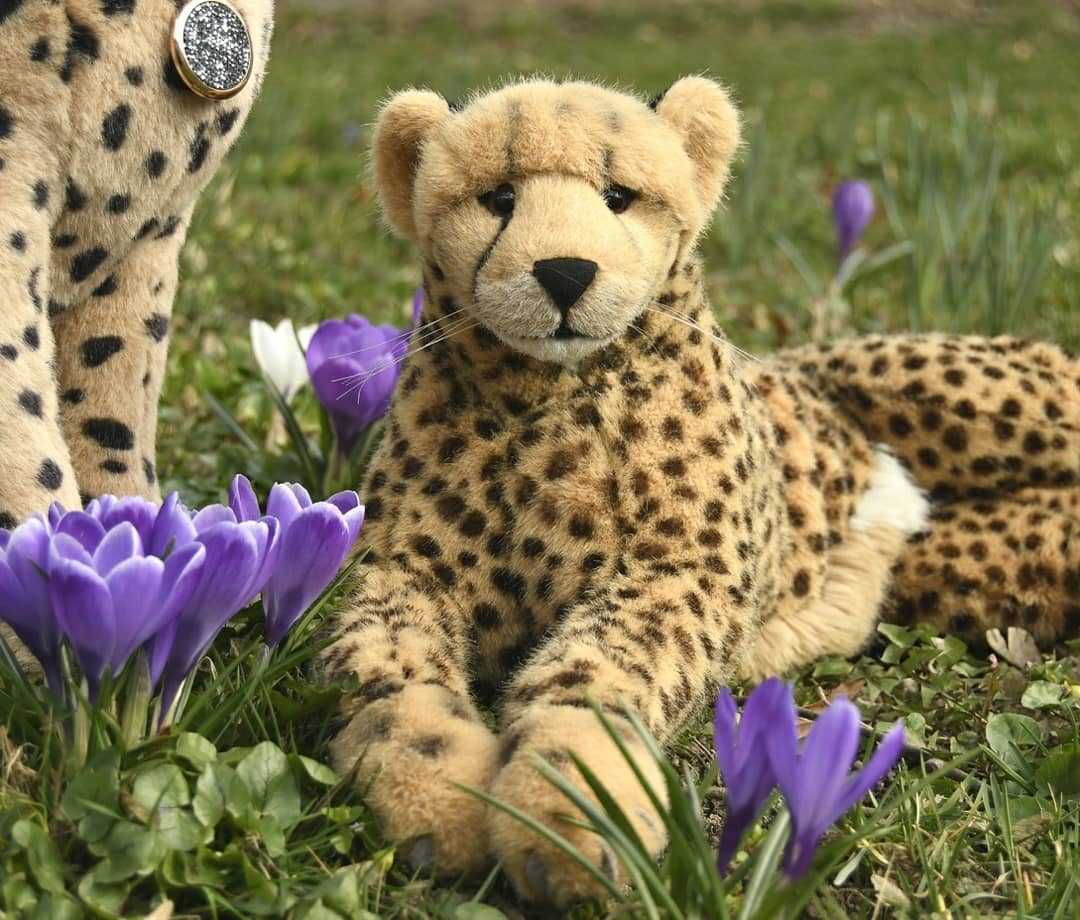 Photo by Juba Gepard on March 30, 2021.