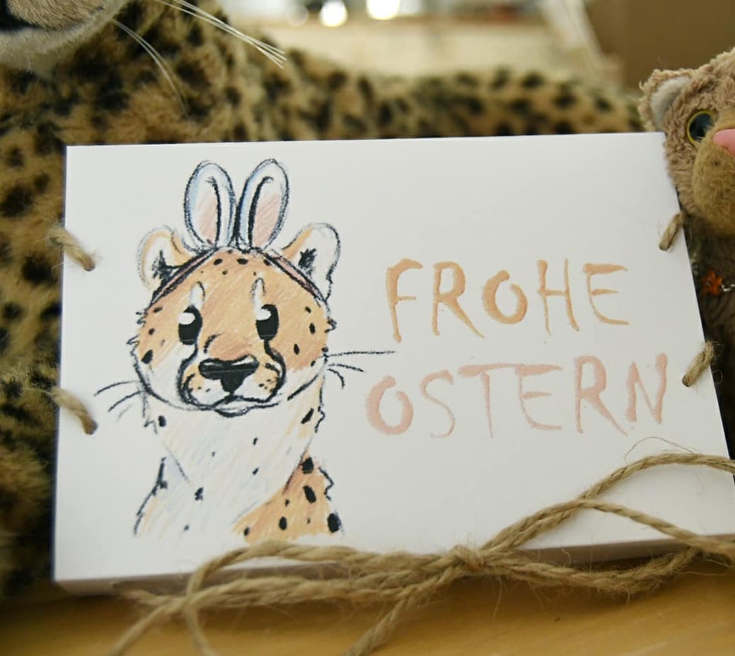 Photo shared by Juba Gepard on April 02, 2021 tagging @karpfinchen, and @charliejost50.