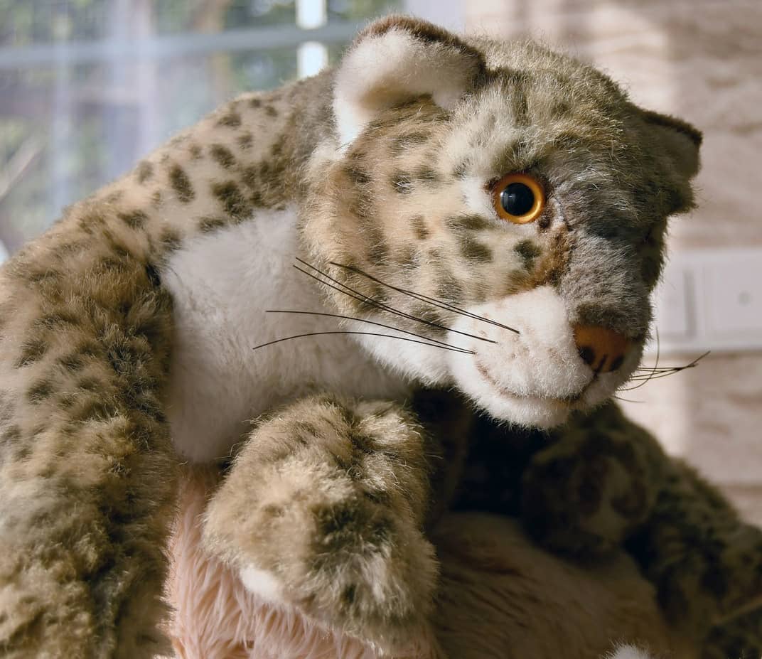 Photo by Juba Gepard on April 09, 2021.