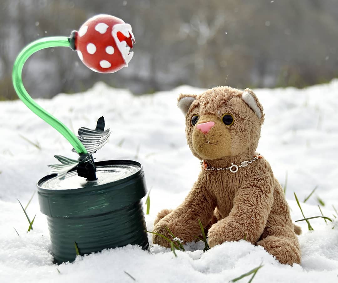 Photo by Juba Gepard on April 10, 2021.