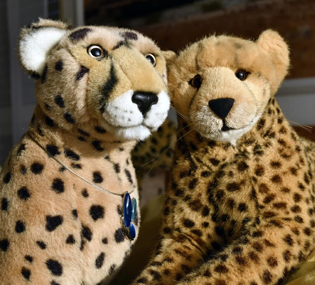 Photo shared by Juba Gepard on April 17, 2021 tagging @julie_the_davies.