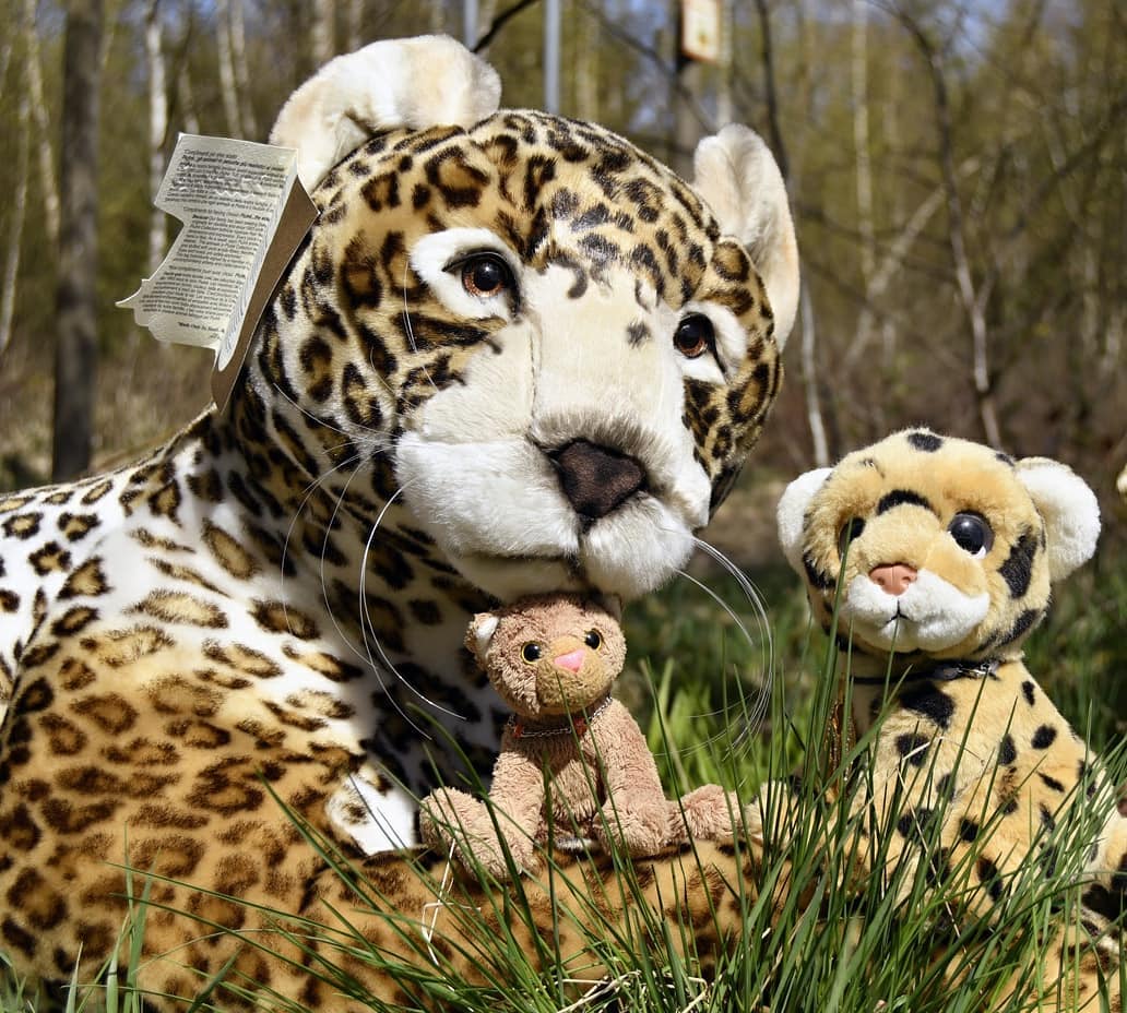 Photo by Juba Gepard on April 24, 2021.