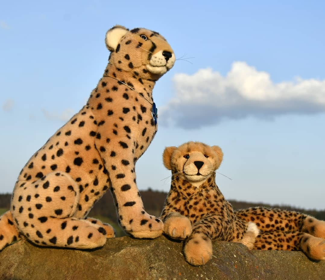 Photo by Juba Gepard on April 27, 2021.