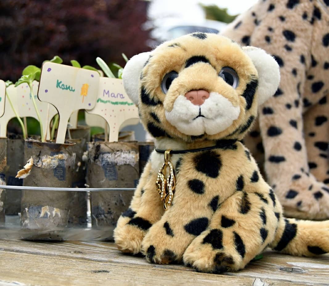 Photo by Juba Gepard on April 29, 2021.