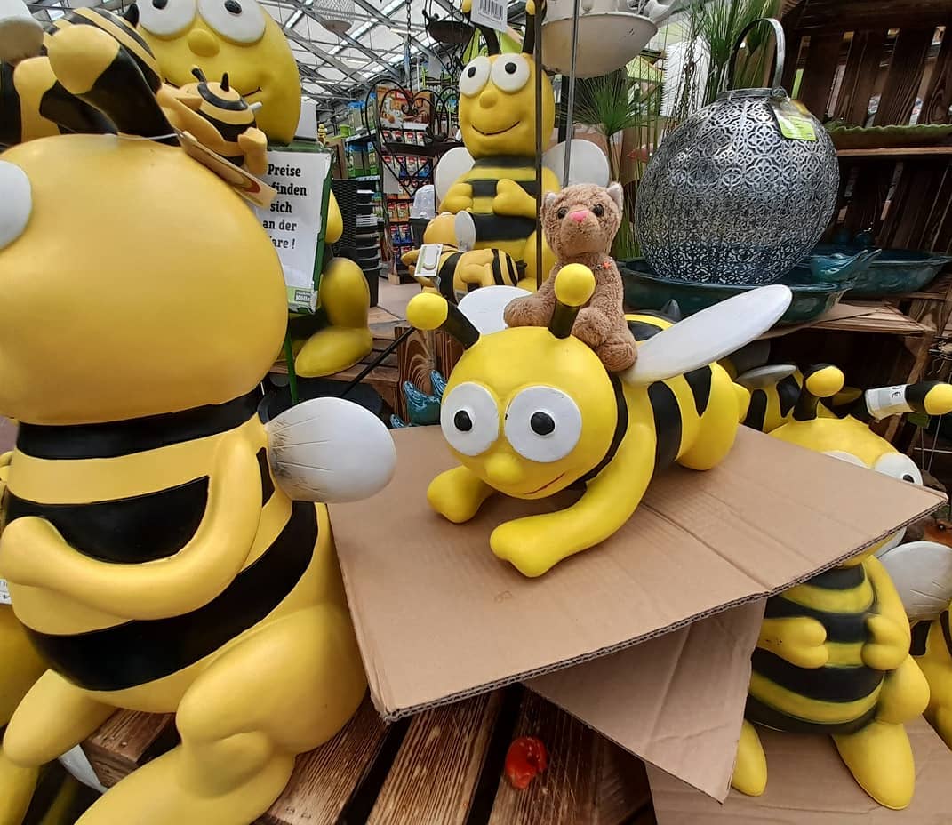 Photo by Juba Gepard on May 09, 2021.