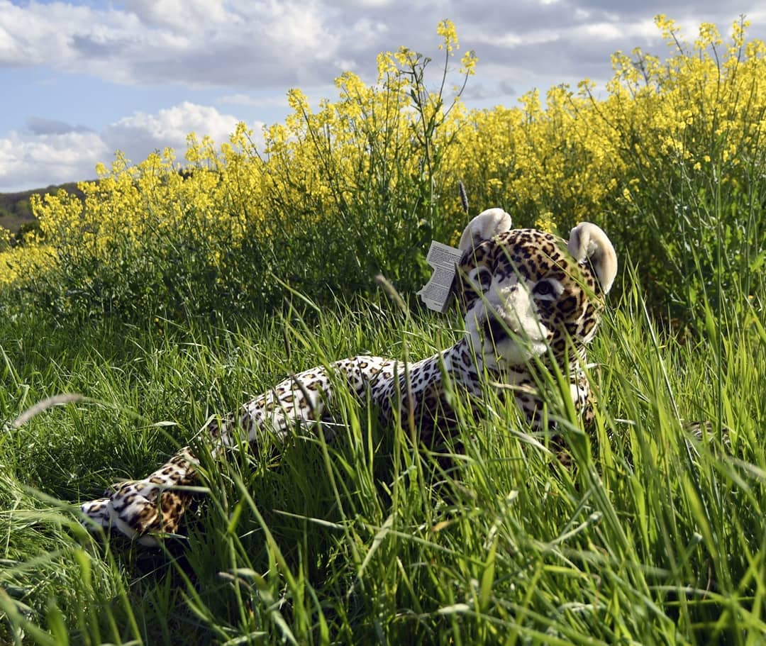 Photo by Juba Gepard on May 22, 2021.: Slide Nummer 4