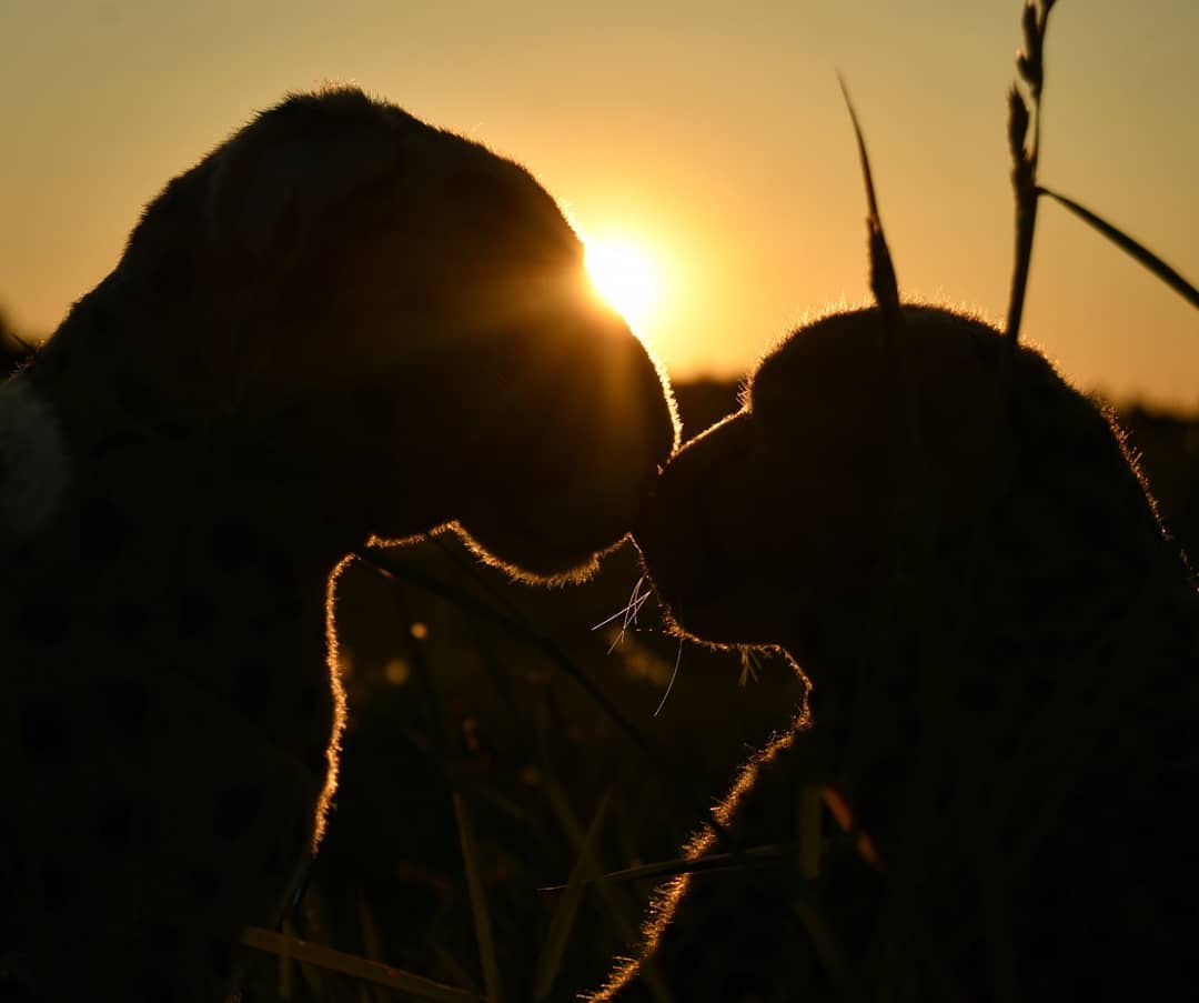 Photo by Juba Gepard on June 02, 2021.