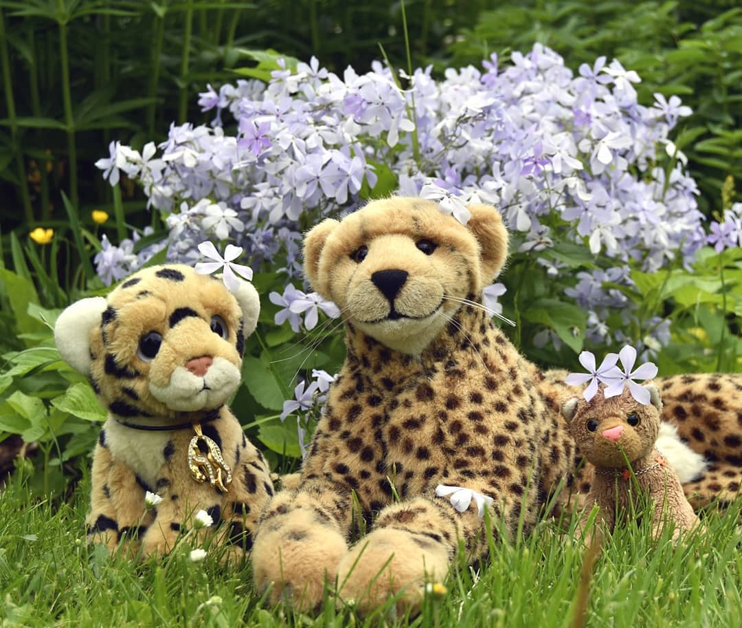 Photo by Juba Gepard on June 16, 2021.