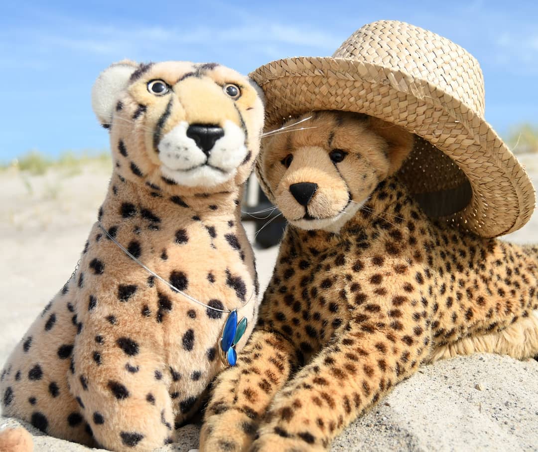 Photo by Juba Gepard on June 18, 2021.