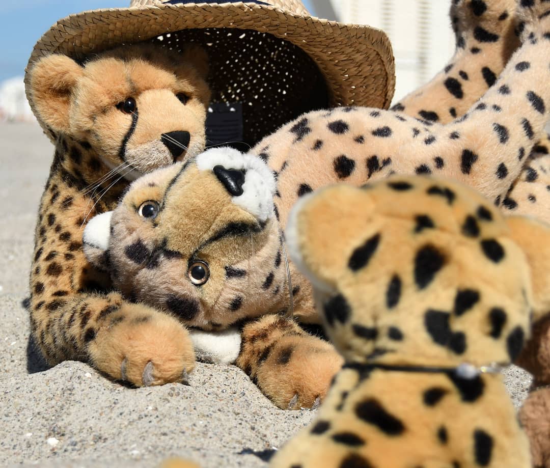 Photo shared by Juba Gepard on June 19, 2021 tagging @julie_the_davies.