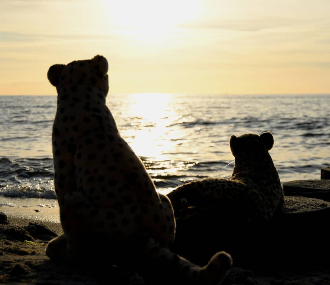 Photo by Juba Gepard on June 19, 2021.