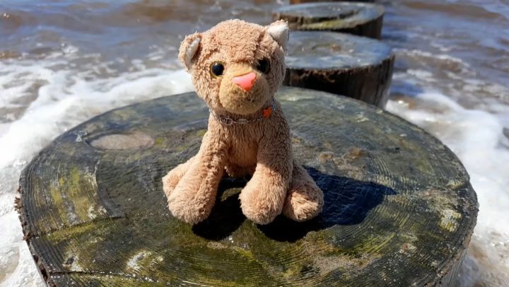 Hallo, ihr Lieben, hier ist eure Swede. Ihr habt es sicherlich schon bemerkt: Oft bin ich es, die irgendwelchen Unsinn treibt. Aber oft genug ist es auch so, dass Mom und Paps mich vorschicken, um den Unsinn zu treiben, den sie sich selbst nicht zutrauen,...