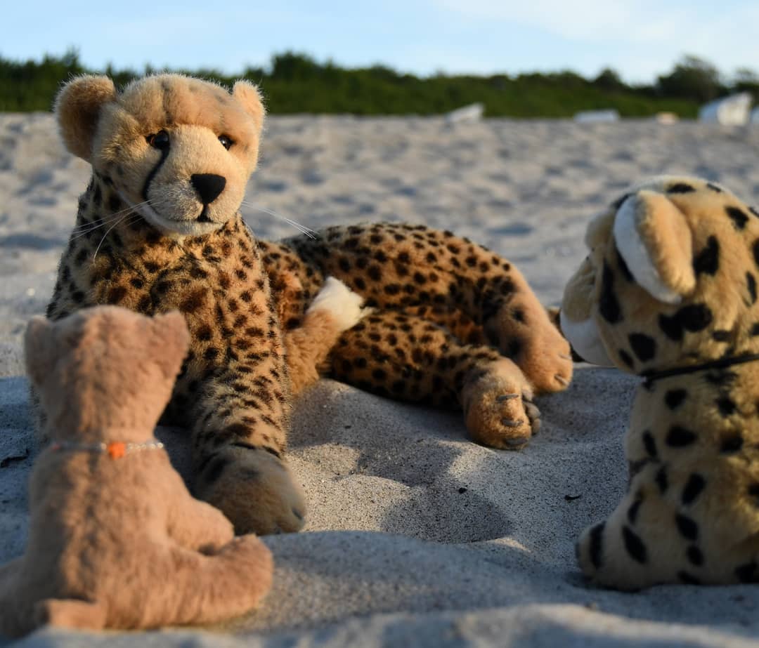 Photo by Juba Gepard on June 21, 2021.: Slide Nummer 15