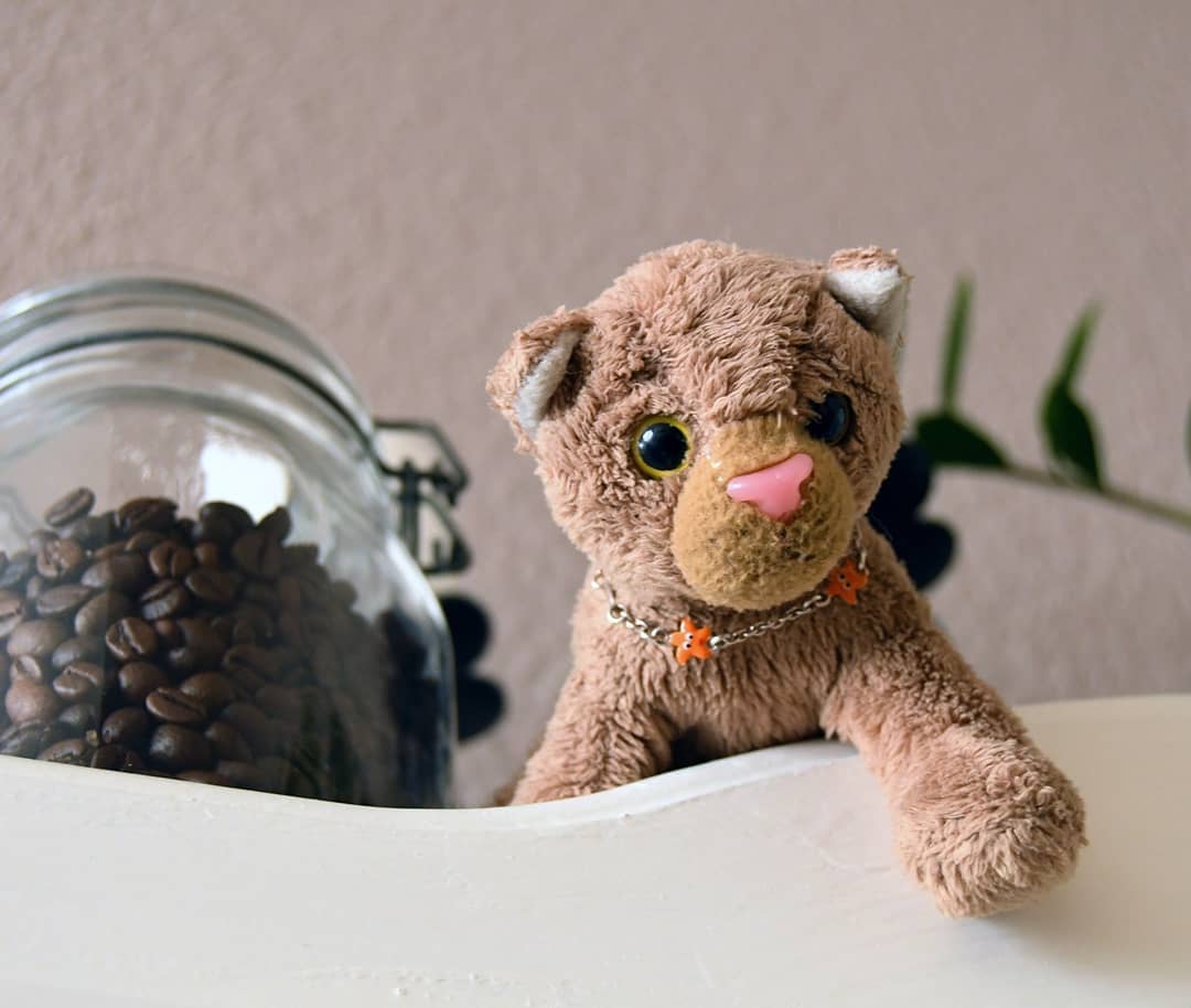 Photo shared by Juba Gepard on June 22, 2021 tagging @teddy_knuddel.: Slide Nummer 8