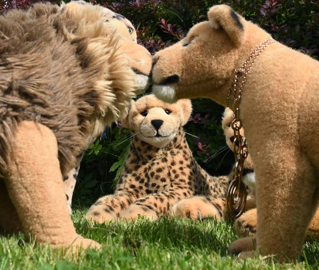 Photo shared by Juba Gepard on June 26, 2021 tagging @julie_the_davies.