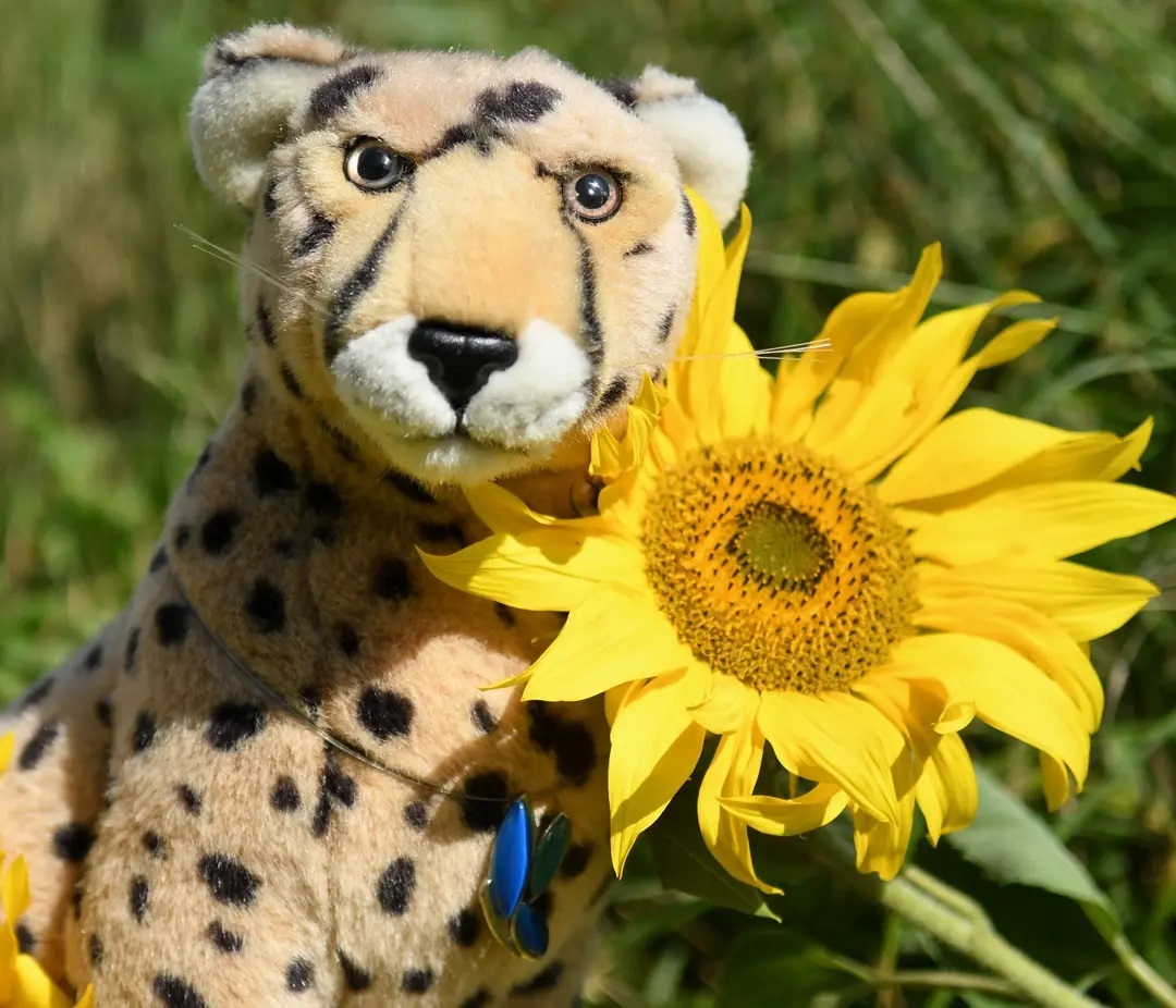 Photo by Juba Gepard on August 23, 2021.