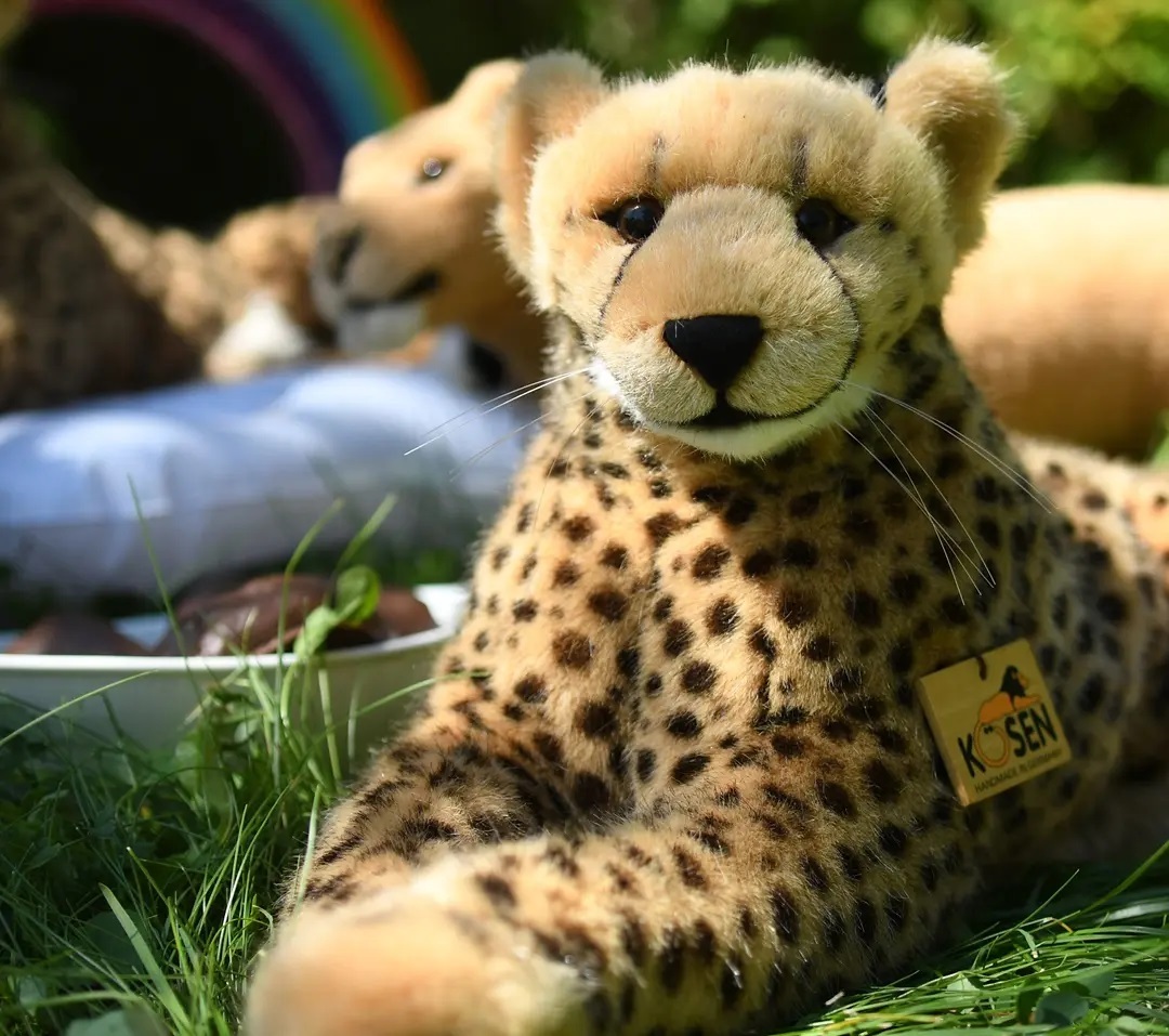 Photo shared by Juba Gepard on August 15, 2021 tagging @edward_the_foxwood_bear.