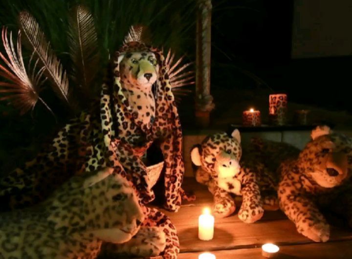 ...and then it was time. Oblivious, I tried to polish my claws and smoothed the last strand of fur before Niara, Mneka, Swede and I would head over to #HoneyGroveTeaPartyTuesday. Suddenly the kids rushed in, talking wildly at the same time, and without understanding...