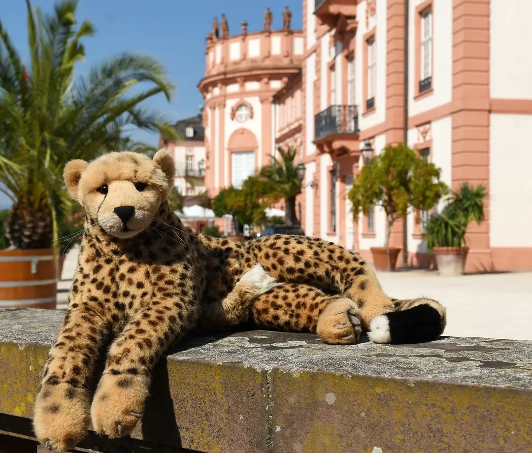 Photo by Juba Gepard on September 06, 2021.