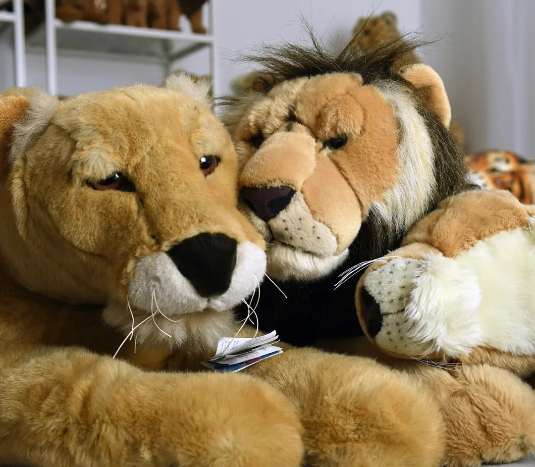 Photo shared by Juba Gepard on September 11, 2021 tagging @julie_the_davies.