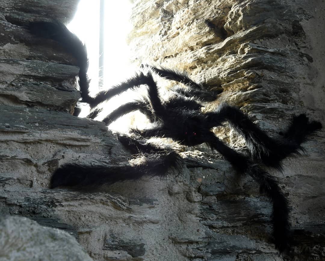 Photo by Juba Gepard on September 24, 2021.