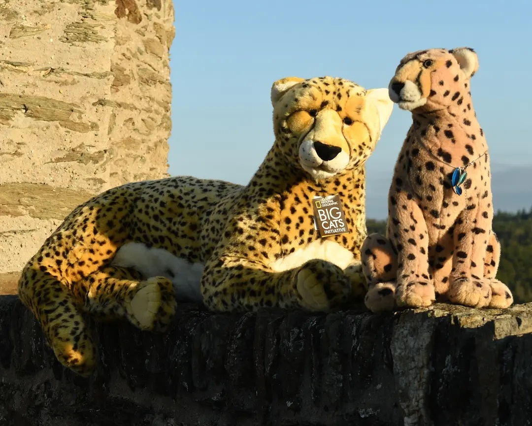 Photo by Juba Gepard on September 29, 2021.