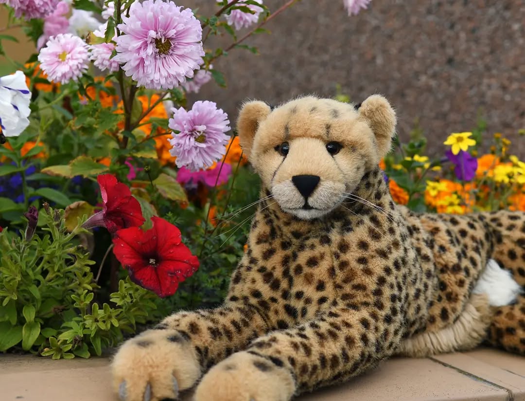 Photo by Juba Gepard on October 03, 2021.