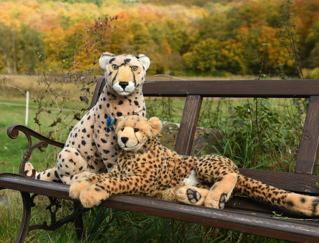 Photo shared by Juba Gepard on October 23, 2021 tagging @julie_the_davies.