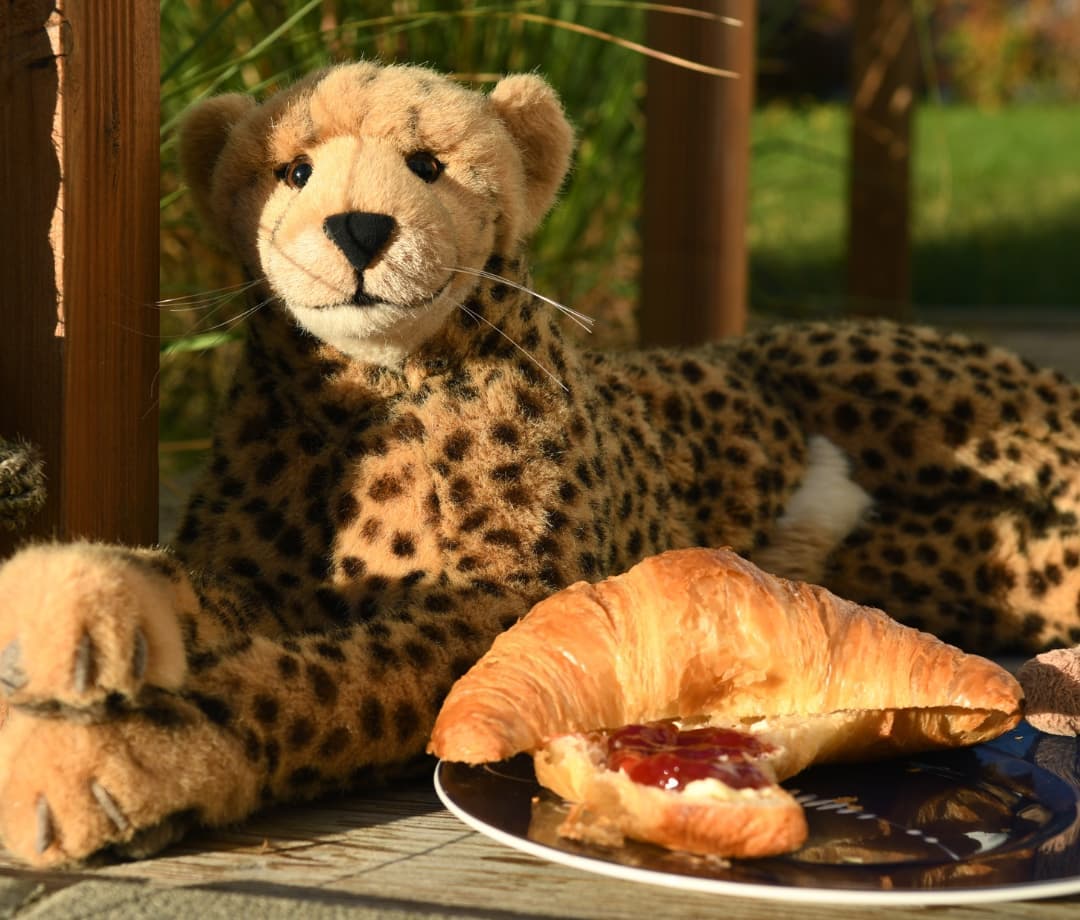 Photo shared by Juba Gepard on October 24, 2021 tagging @edward_the_foxwood_bear.