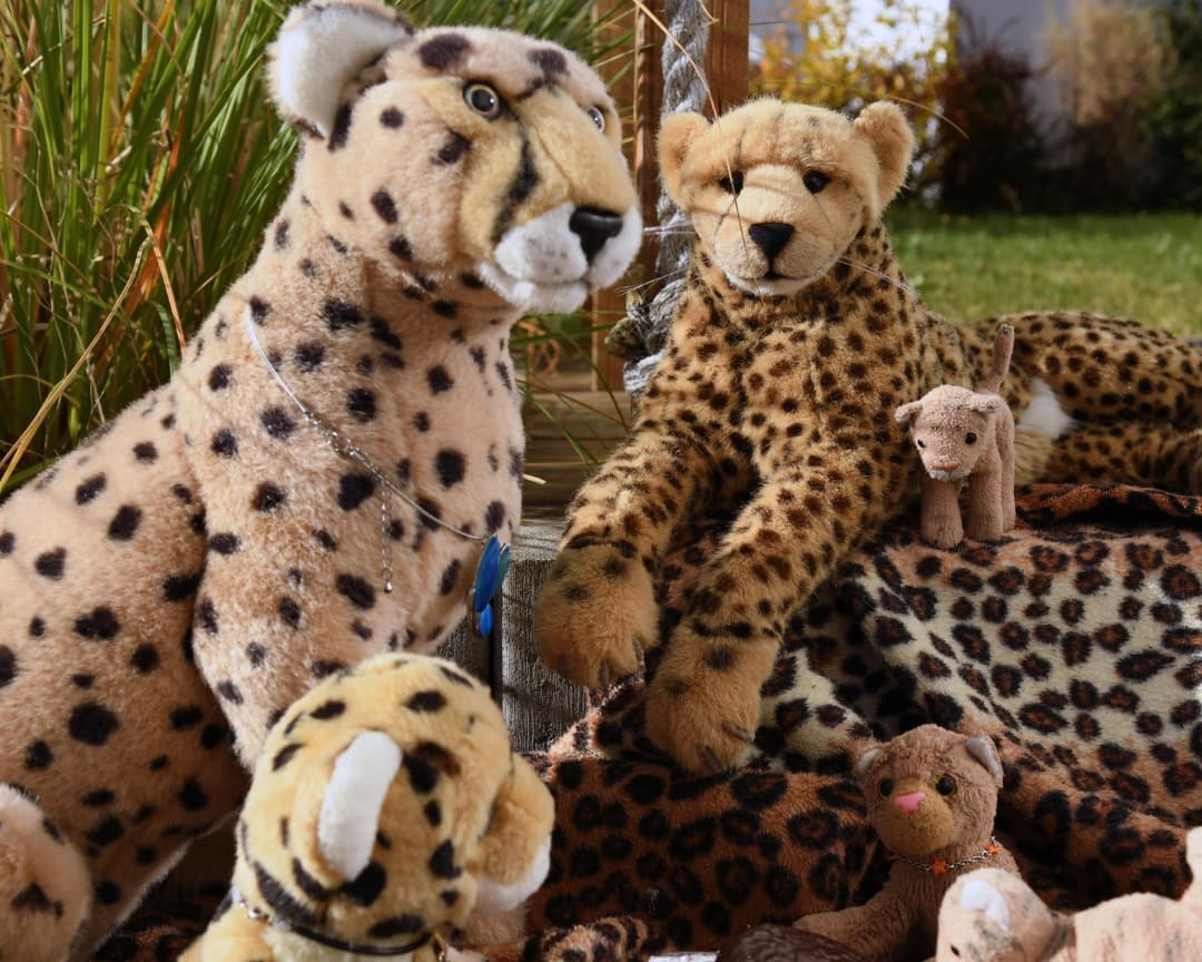 Photo shared by Juba Gepard on November 02, 2021 tagging @honeygrovebears.