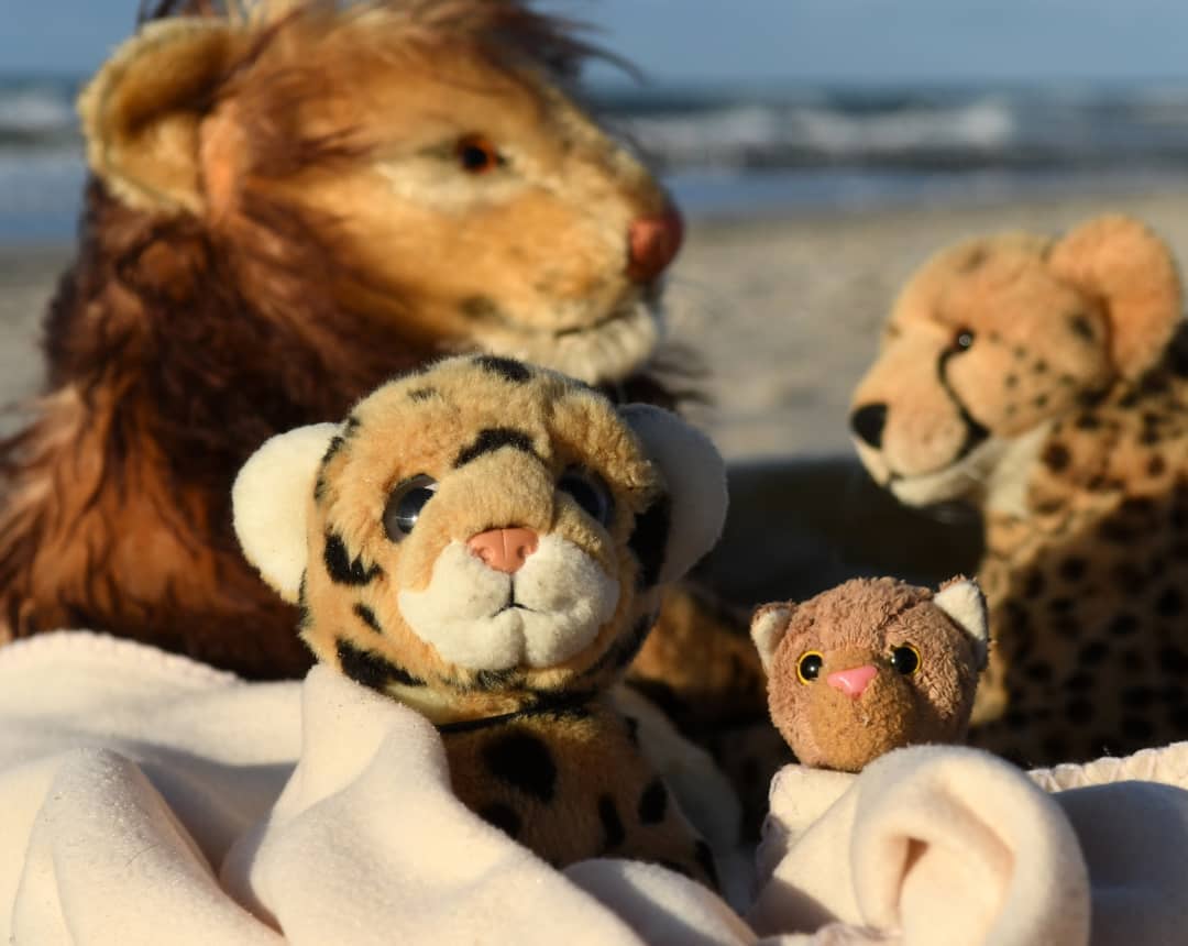 Photo by Juba Gepard on November 10, 2021.