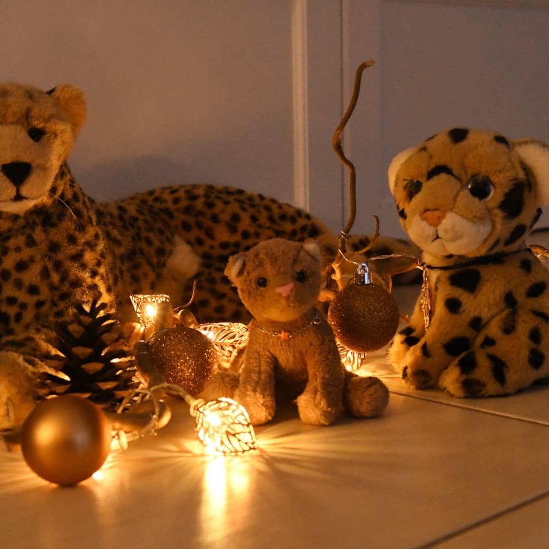 Photo shared by Juba Gepard on December 02, 2021 tagging @eeyoreroundstheworld, and @charliejost50.
