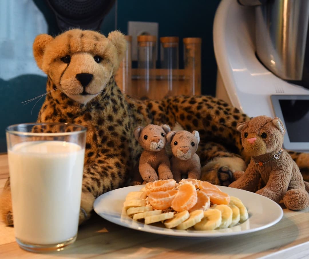 Photo shared by Juba Gepard on November 21, 2021 tagging @edward_the_foxwood_bear.: Slide Nummer 1