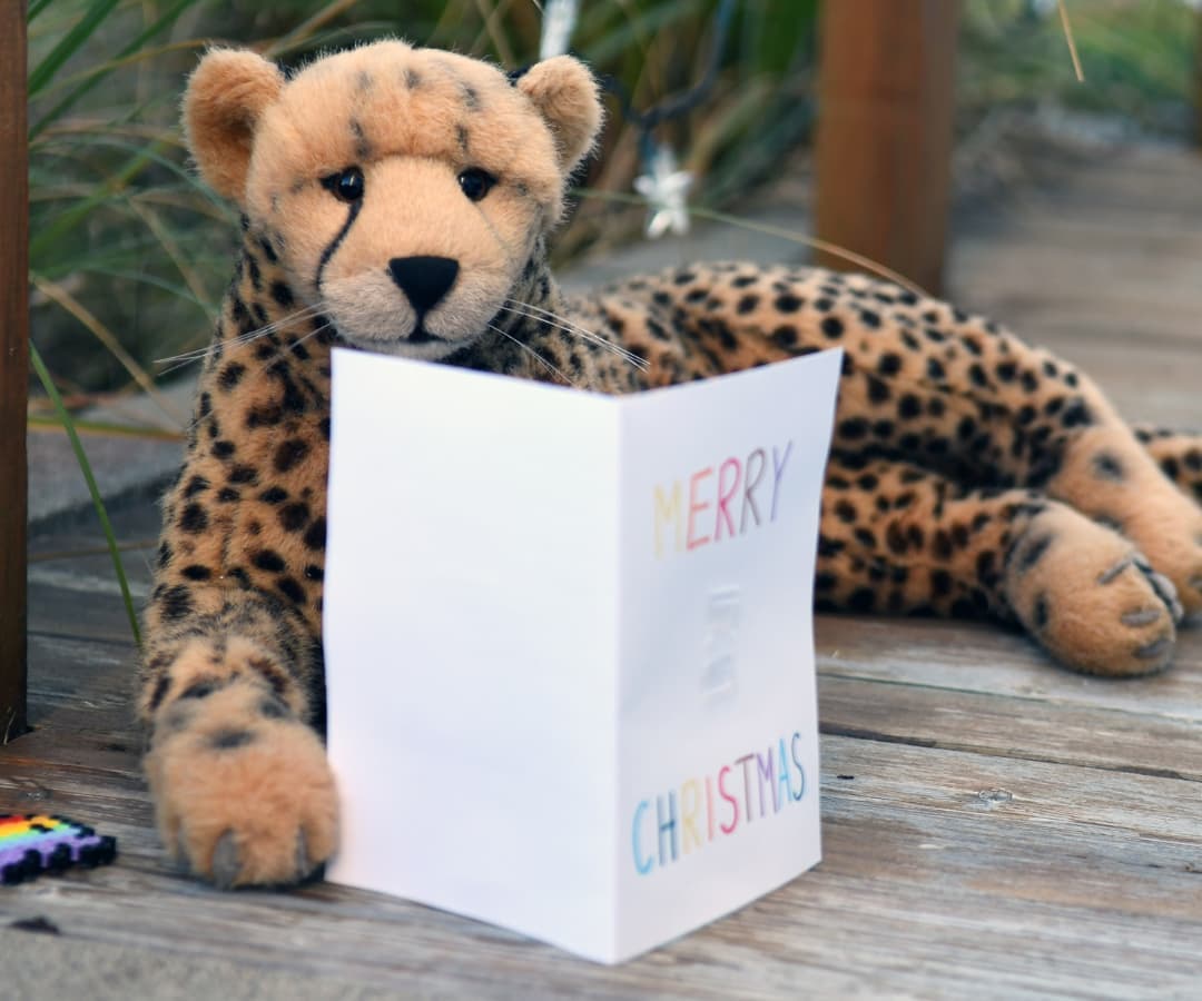 Photo shared by Juba Gepard on December 21, 2021 tagging @rory_gilmore.