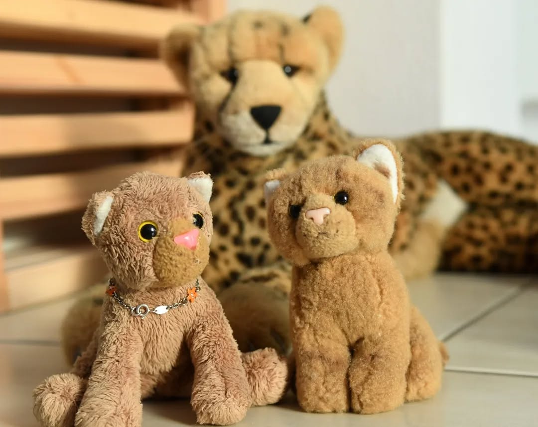 Photo by Juba Gepard on January 13, 2022.